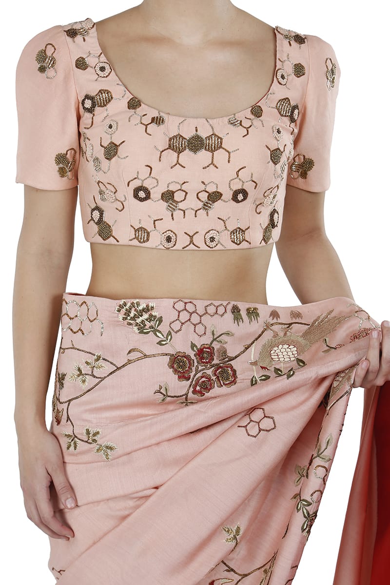 Embroidered Sare & Blouse set