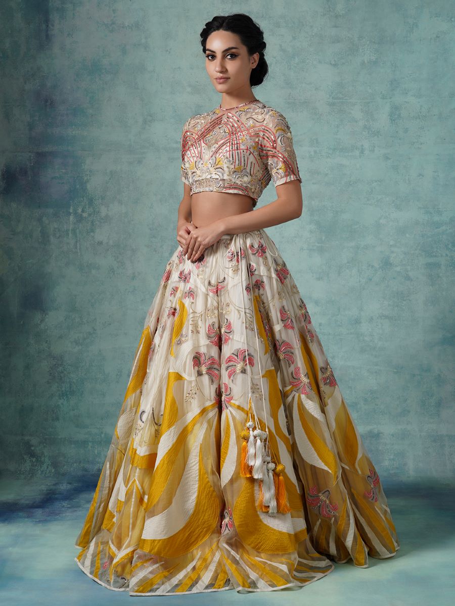 An organza and net lehenga set with organza Dupatta - samantchauhan Apparel & Accessories