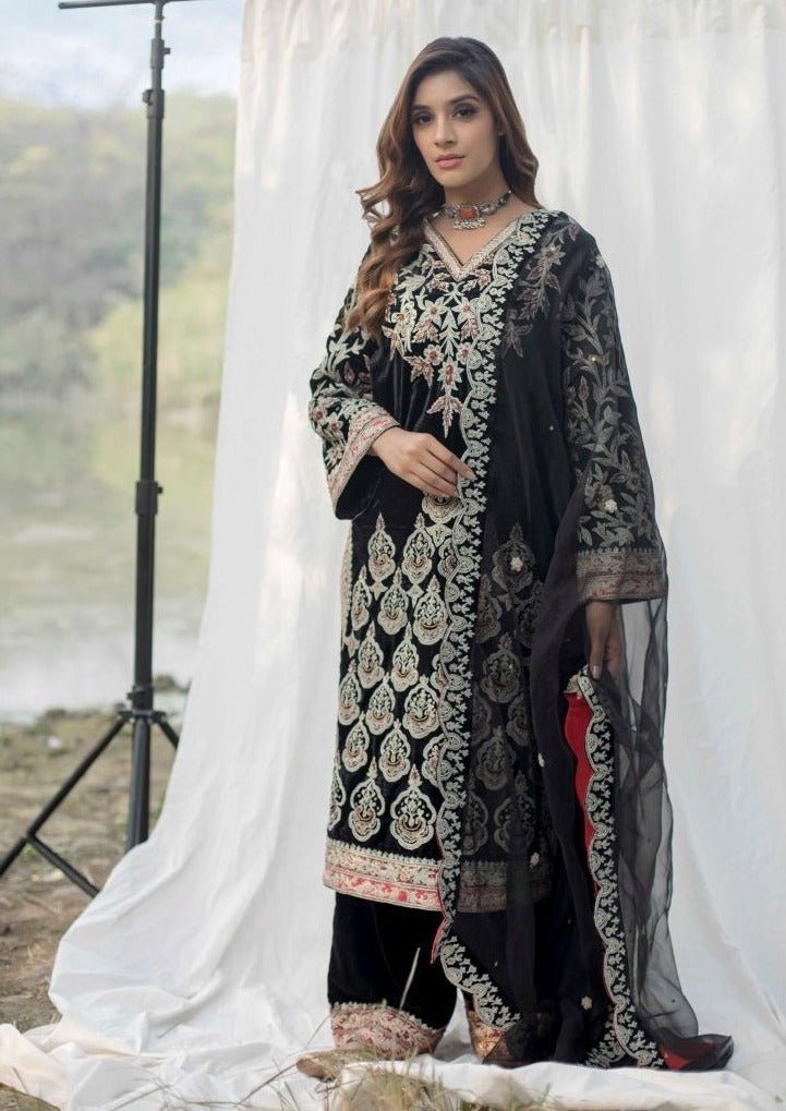 Velvet suit set adorned with zari and appliqué work and paired with organza Dupatta A - samantchauhan Apparel & Accessories