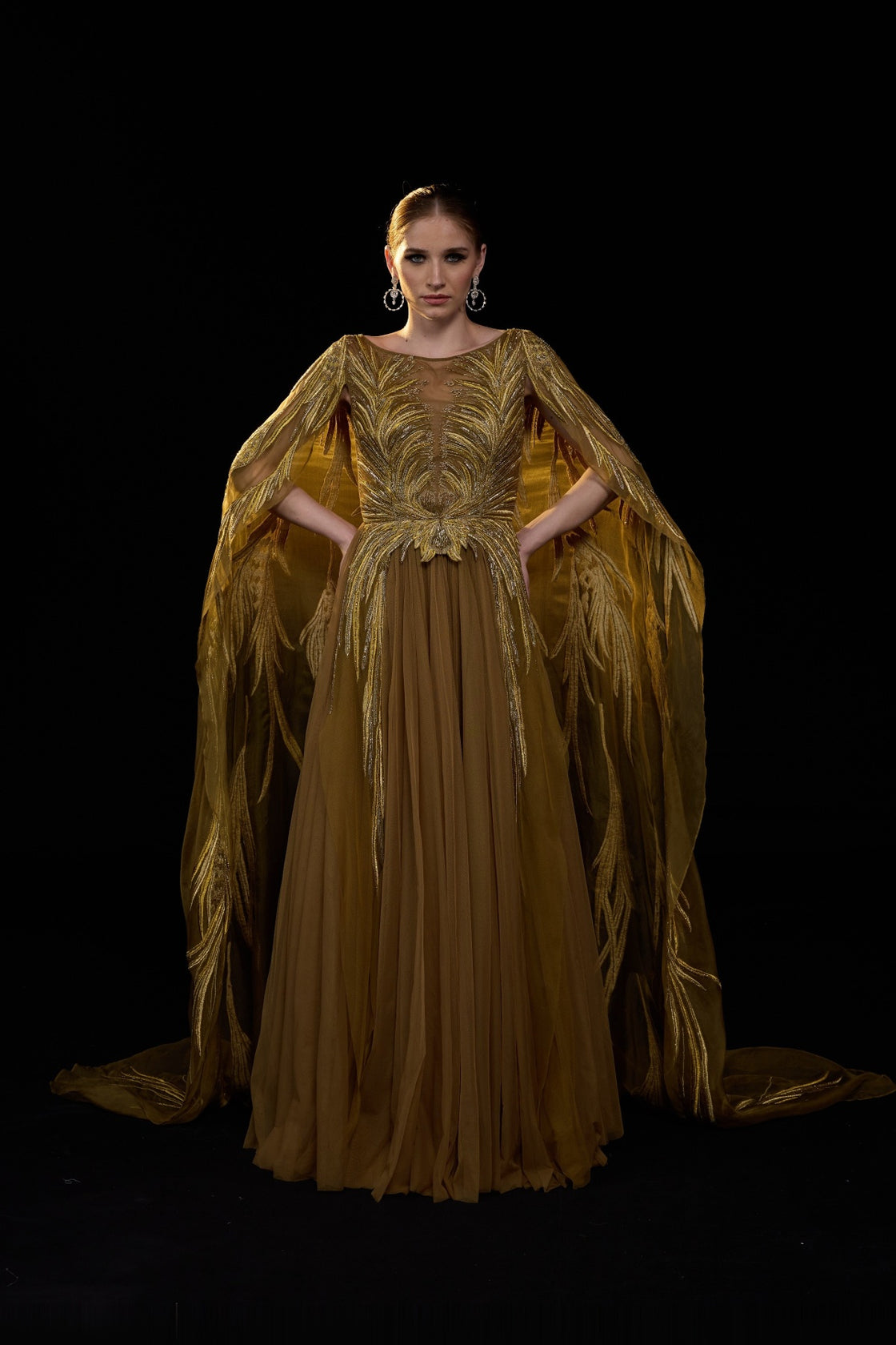 Golden-Bronze Embroidered Gown With Sheer Cape Sleeves , Structured Bodice And Flowy Pleated Bottom
