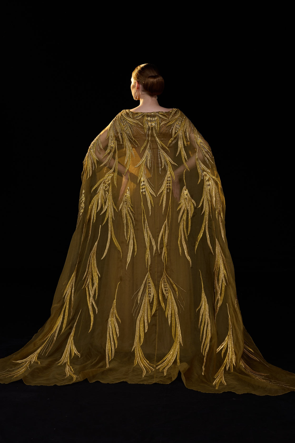 Golden-Bronze Embroidered Gown With Sheer Cape Sleeves , Structured Bodice And Flowy Pleated Bottom