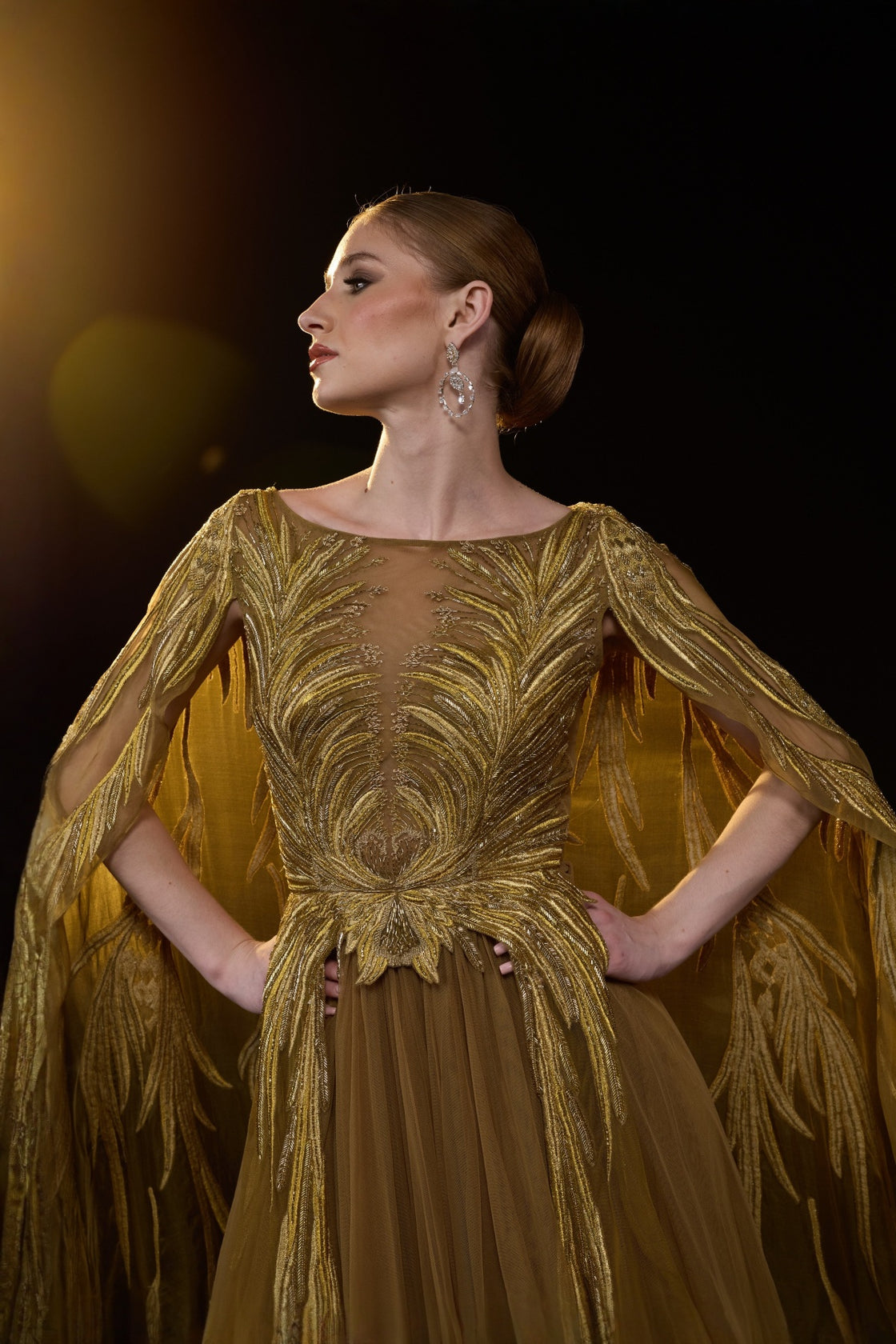Golden-Bronze Embroidered Gown With Sheer Cape Sleeves , Structured Bodice And Flowy Pleated Bottom