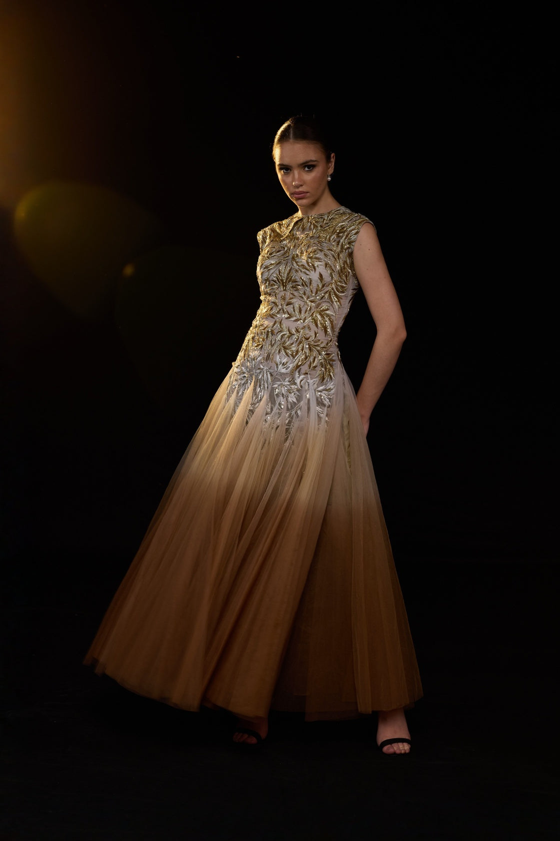 Beige Tulle Gown Featuring Intricate Gold And Silver Embroidery