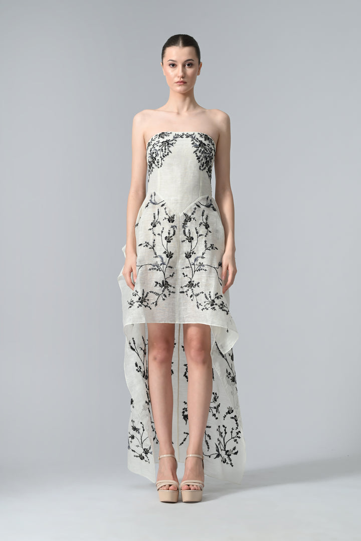 Bustier Asymmetric Dress