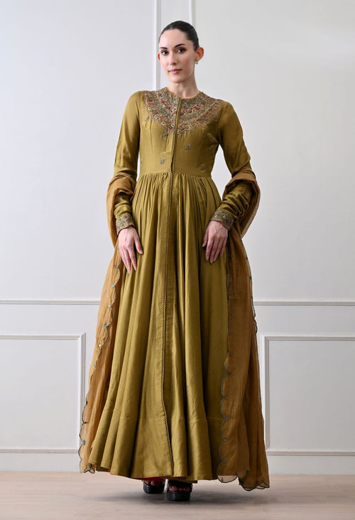 Terra Olive Anarkali Set