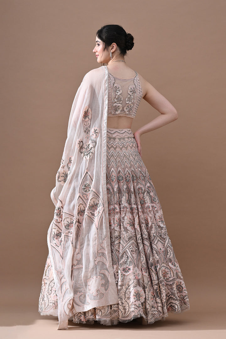 Blush Pink Hand Embroidered Lehenga Set