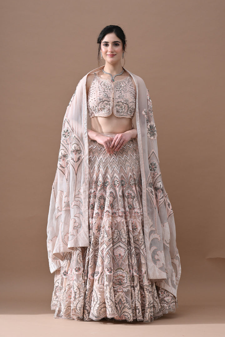 Blush Pink Hand Embroidered Lehenga Set