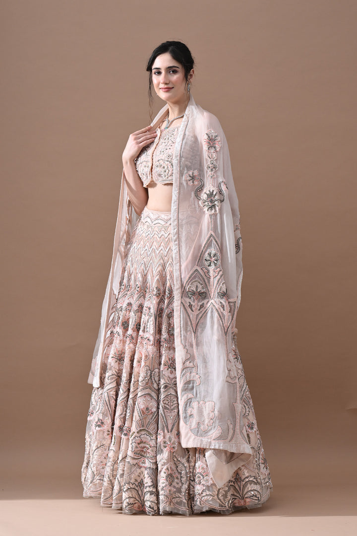 Blush Pink Hand Embroidered Lehenga Set