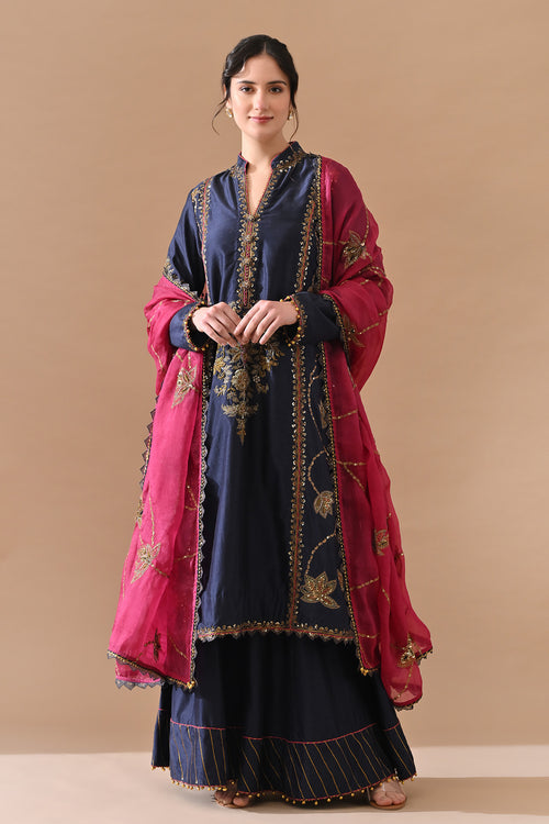 Navy Blue Panel Embroidered Suit With Contrast Dupatta