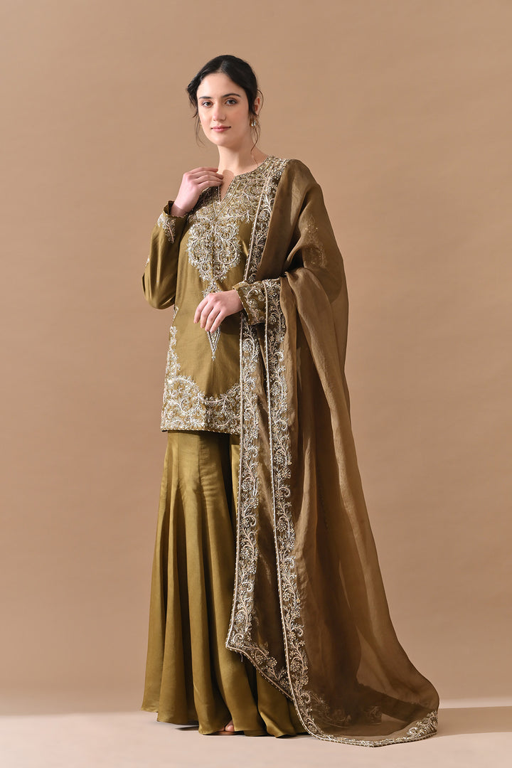 Olive Green Fine Zari Embroidered Suit Set