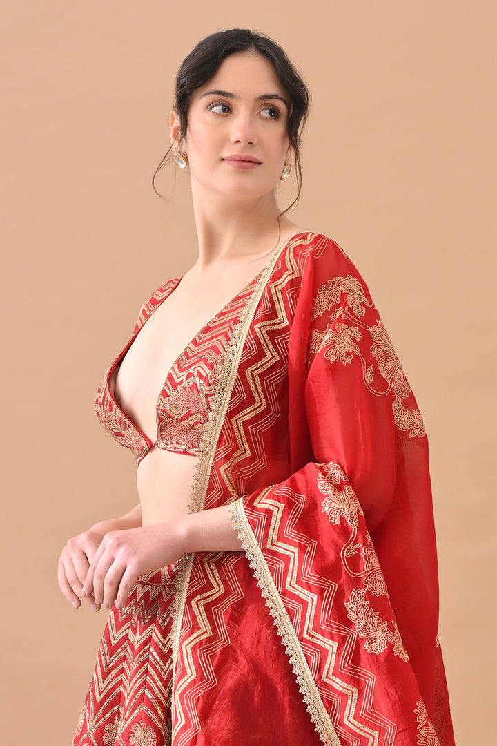 Red Regal Gold Aari Work Lehenga