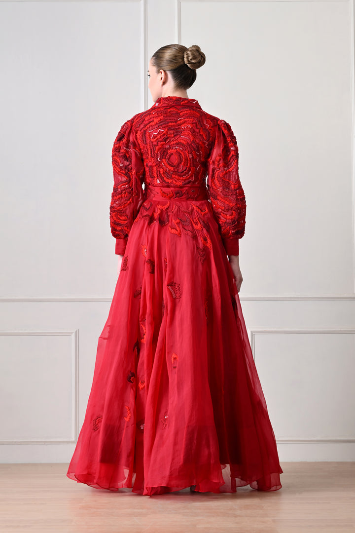Scarlet Red Embroidered Gown