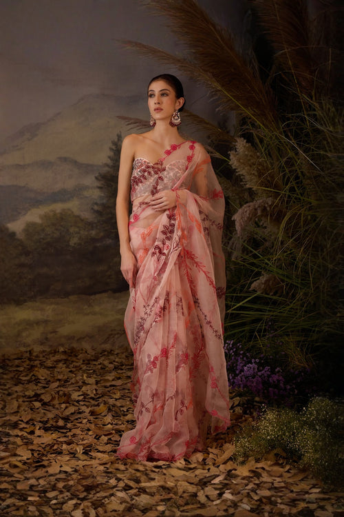 Blush Pink Embroidered Saree Set