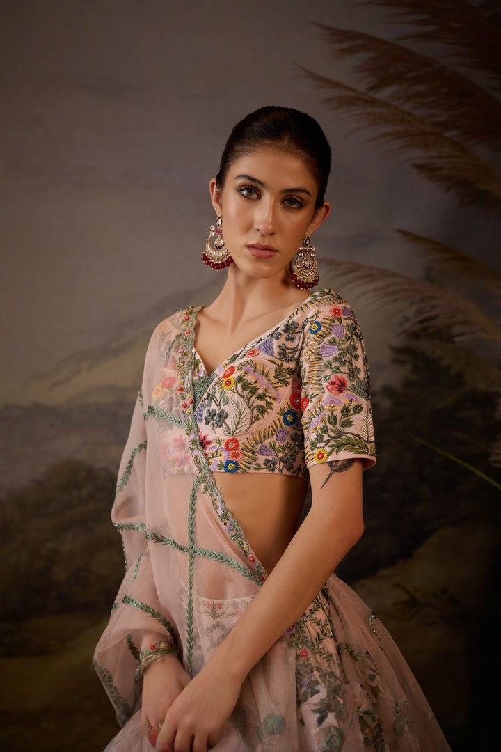 Blush Pink Petal Poetry Embroidered Lehenga set