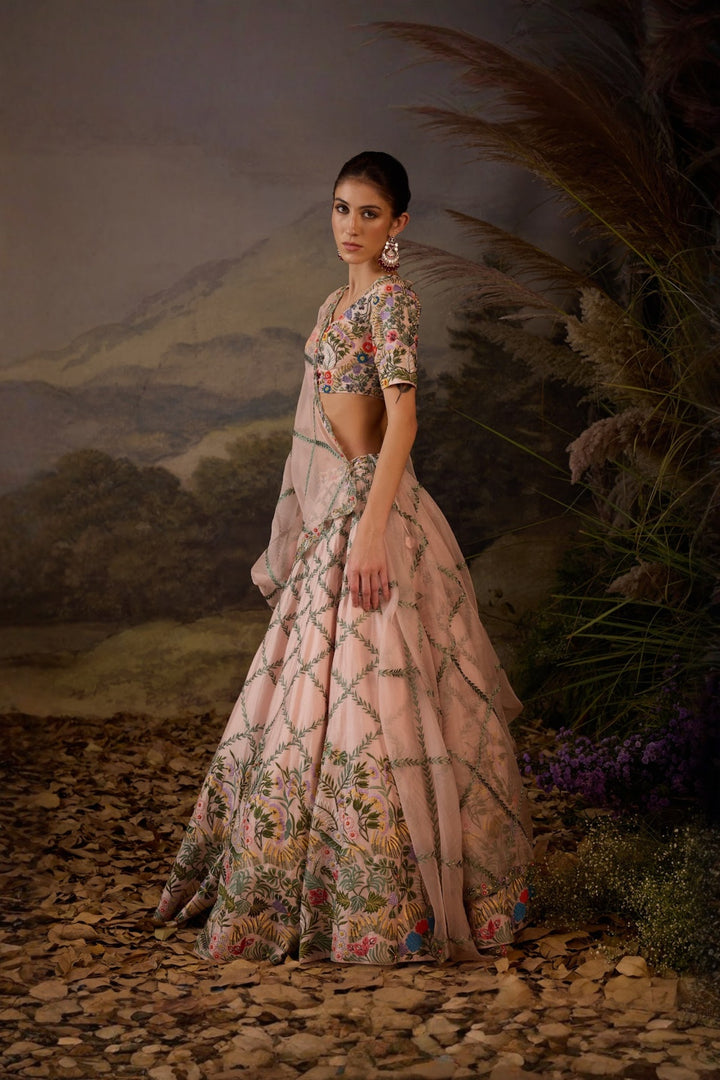 Blush Pink Petal Poetry Embroidered Lehenga set