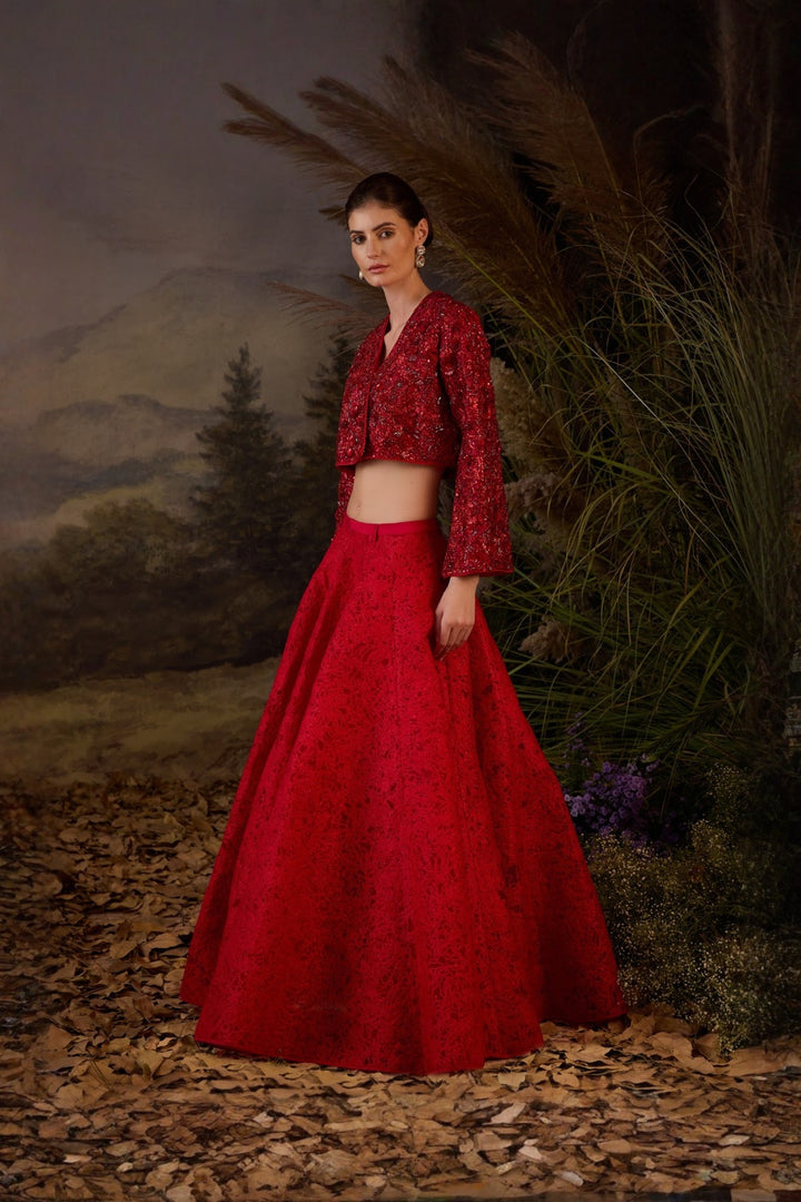 Scarlet threadwork Embroidered  crop Top &amp; Textured Skirt Set