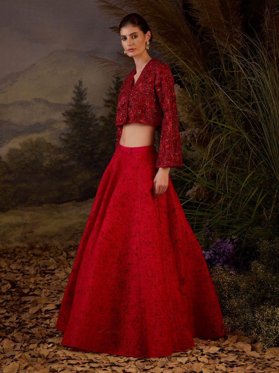 Red organza  silk top with silk thread embroidery skirt