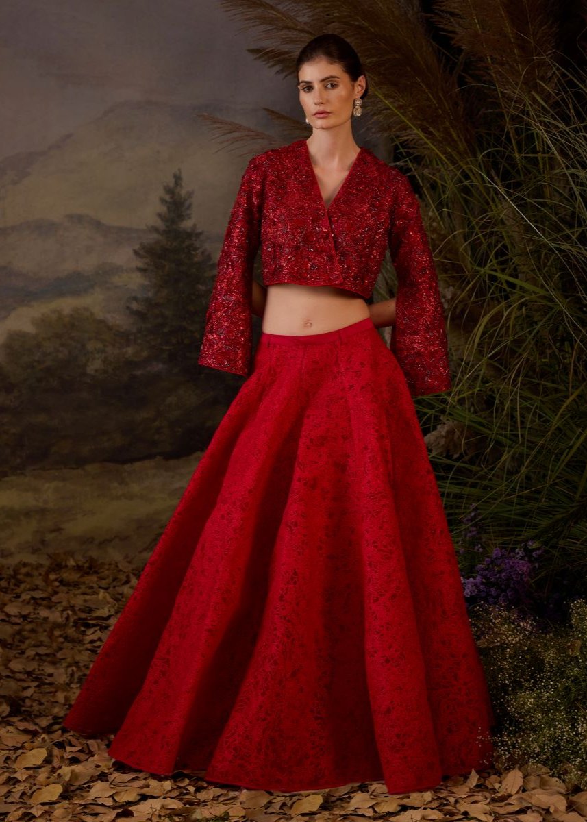 Red organza  silk top with silk thread embroidery skirt