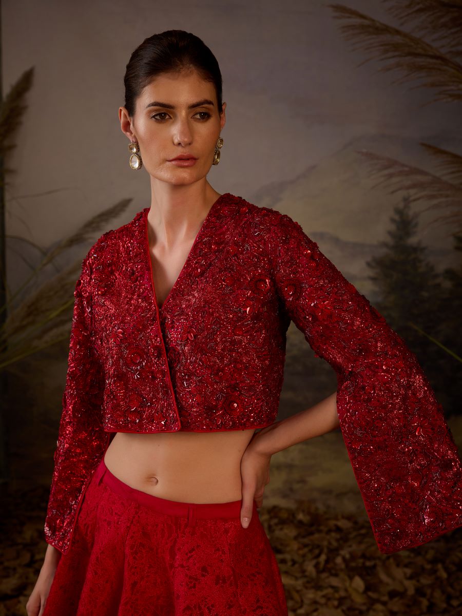 Red organza  silk top with silk thread embroidery skirt