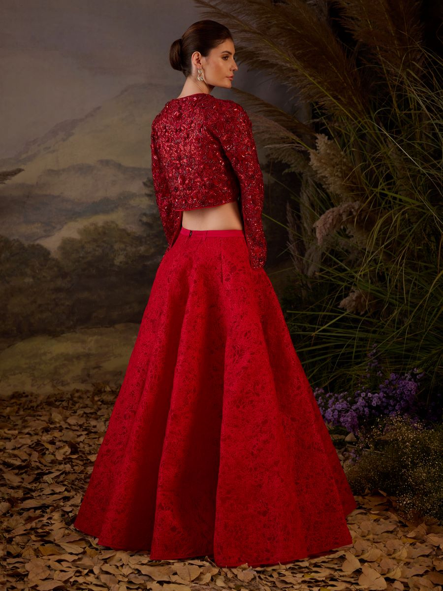 Red organza  silk top with silk thread embroidery skirt