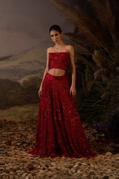 Red Organza & Cotton Silk Tube Top & Skirt