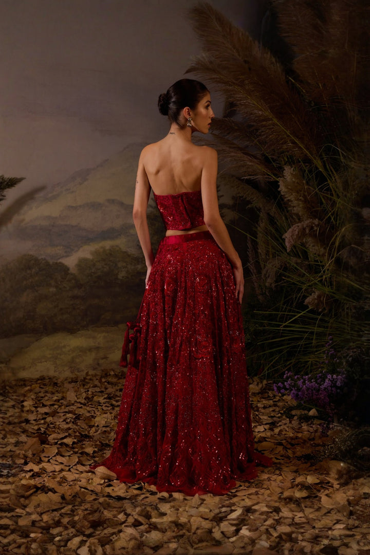 Scarlet 3D Zardozi Embroidered tube top &amp; Skirt Set