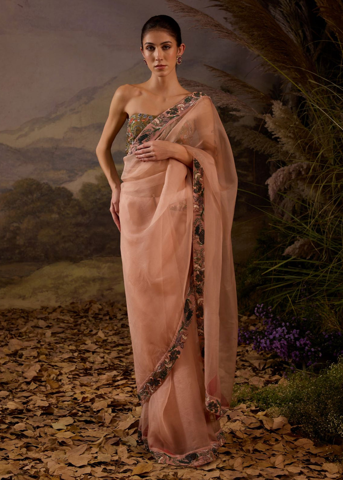 Blush Pink Embroidered Organza Saree