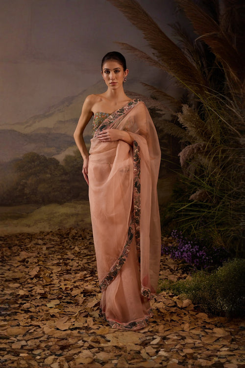Blush Pink Embroidered Organza Saree
