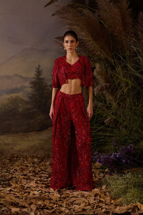 Red Organza  Silk Tube Top Along Bolero Jacket With Plazo Pants