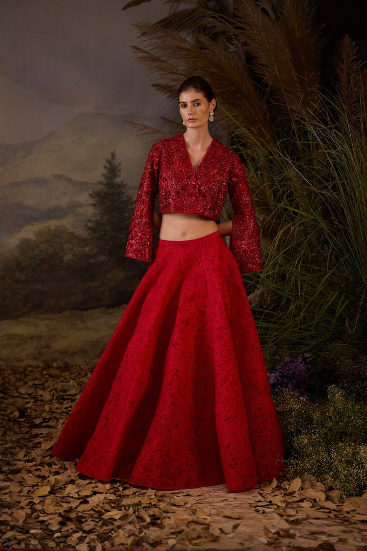 Scarlet threadwork Embroidered  crop Top &amp; Textured Skirt Set