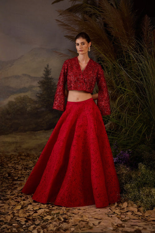 Red Organza  Silk Top With Silk Thread Embroidery Skirt