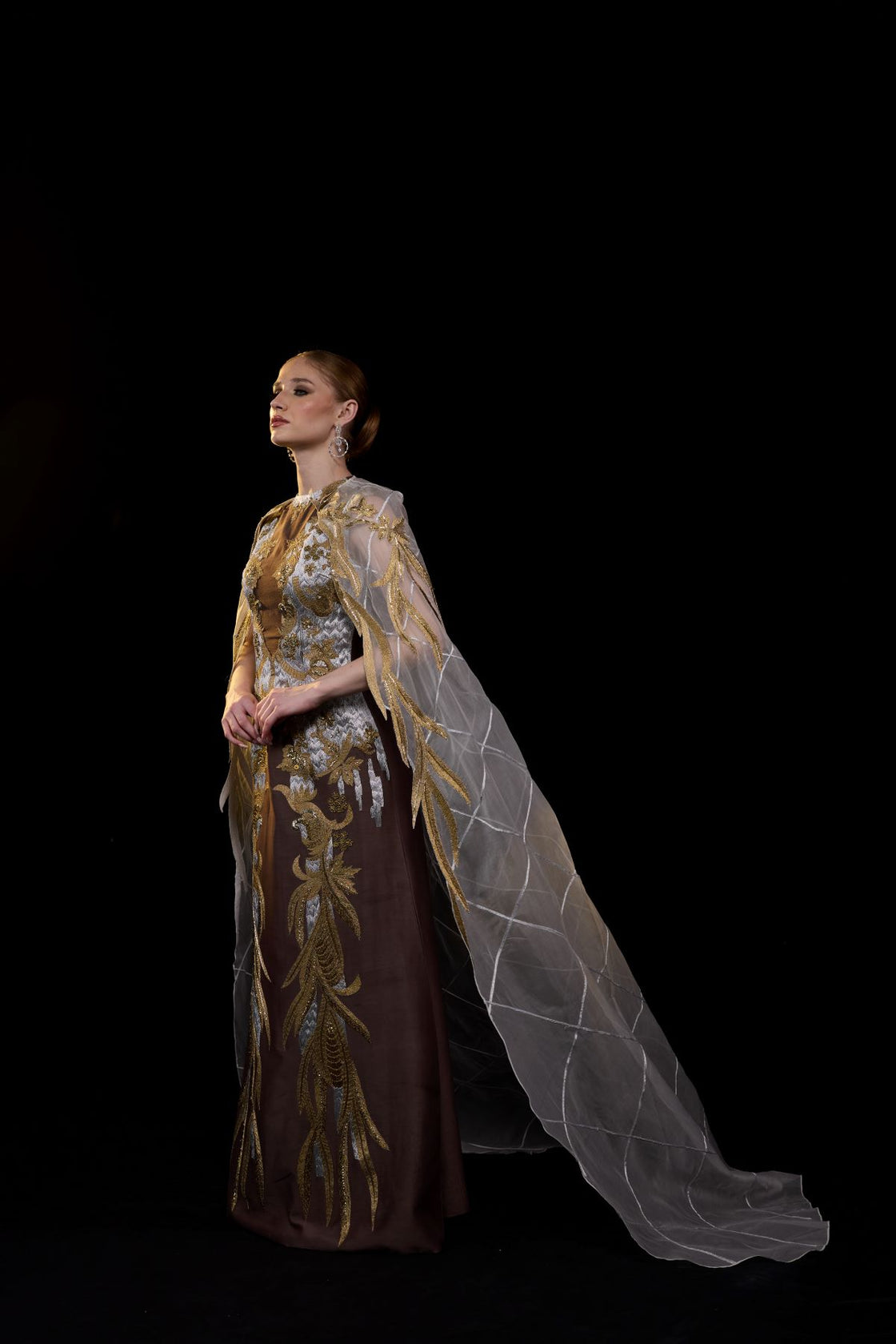 Embroidered Brown Gown with Sheer Cape