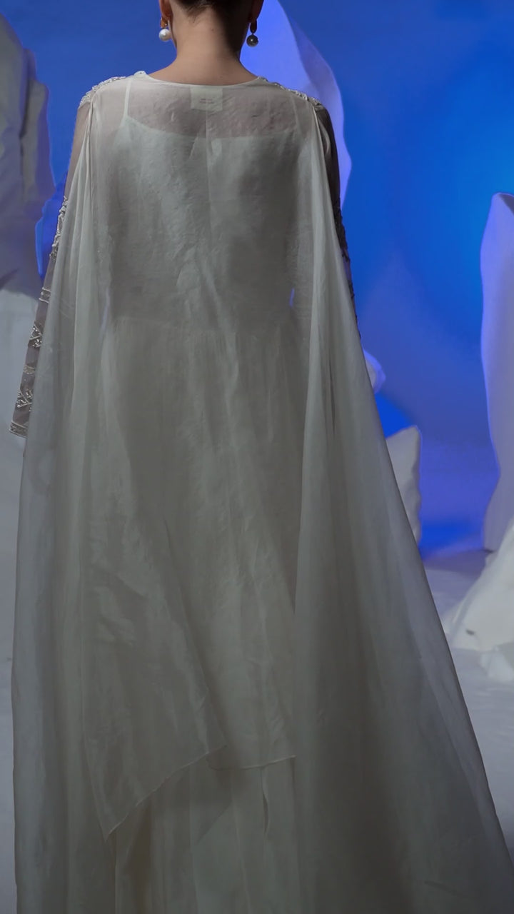 Ivory Embroidered Silk Organza Dress With Cape