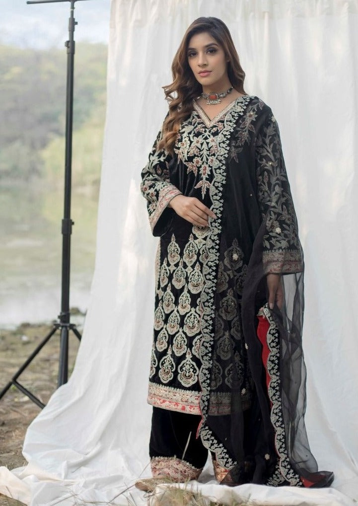 Velvet suit set adorned with zari and appliqué work and paired with organza Dupatta A