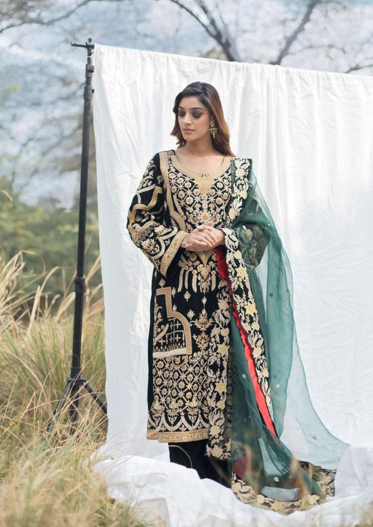 Velvet suit set adorned with zari and appliqué work and paired with organza Dupatta