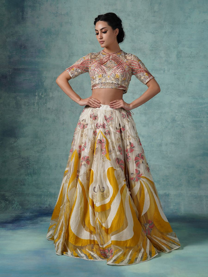 An organza and net lehenga set with organza Dupatta - samantchauhan Apparel &amp; Accessories