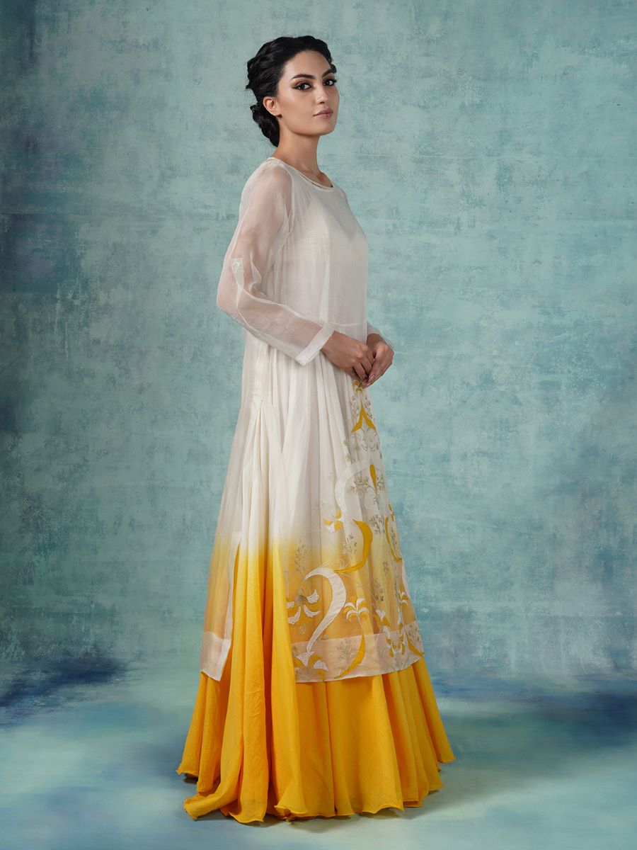 Cotton inner dress with organza shirt - samantchauhan Apparel & Accessories