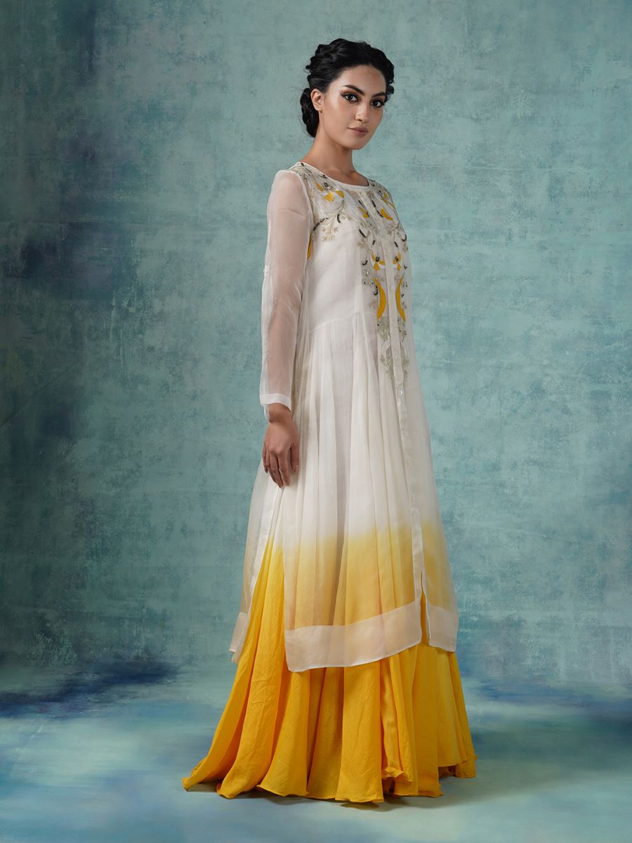 Cotton inner dress with organza shirt - samantchauhan Apparel & Accessories