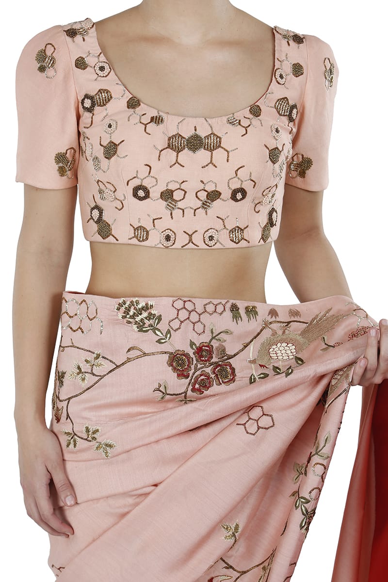 Embroidered Sare &amp; Blouse set - samantchauhan